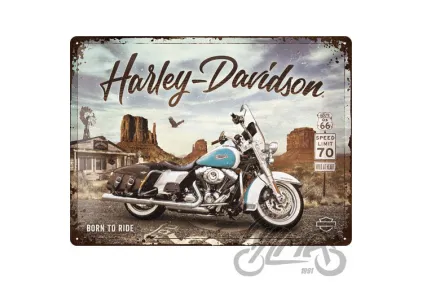 METALINĖ LENTELĖ 30x40 30x40 HARLEY-DAVIDSON ROUTE 23291