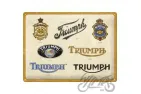 METALINĖ LENTELĖ 30x40 TRIUMPH LOGO EVOLUTION 23314