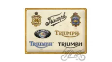 METALINĖ LENTELĖ 30x40 TRIUMPH LOGO EVOLUTION 23314