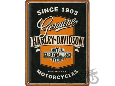 METALINĖ LENTELĖ 30x40 HARLEY-DAVIDSON RIBBO 23360