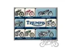 MAGNET TRIUMPH MODEL CHART 9 PCS 83128