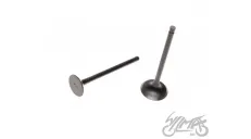 VALVE SET, IN. + EX. 4T FOR PIAGGIO FLY 125
