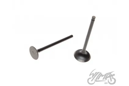 VALVE SET, IN. + EX. 4T FOR PIAGGIO FLY 125