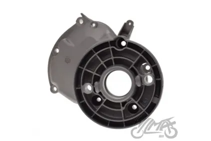 TRANSMISIJOS DANGTELIS PIAGGIO FLY 125