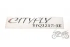 EMBLEM, SIDE COVER FOR PIAGGIO FLY 125