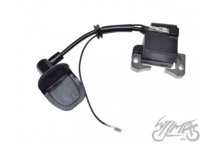 UŽDEGIMO RITĖ POCKET BIKE