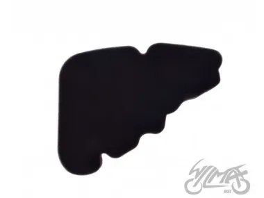 ORO FILTRAS PIAGGIO LIBERTY 125