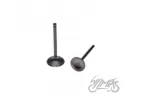VALVE SET, IN. & EX. XY140 ENGINE
