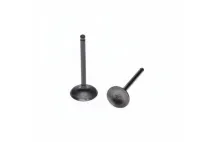 VOŽTUVŲ KOMPLEKTAS ĮSIURBIMO IR IŠMETIMO XY140 VARIKLIUI