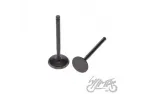 INTAKE AND EXHAUST VALVE SET ENGINE YX160