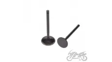 INTAKE AND EXHAUST VALVE SET ENGINE YX160