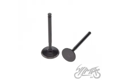 INTAKE AND EXHAUST VALVE SET ENGINE YX160