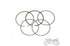 PISTON RINGS SET , ZONGSHEN DT190 ENGINE