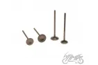 VALVE SET, IN.&EX. , ZONGSHEN DT190 ENGINE