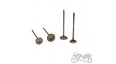 VALVE SET, IN.&EX. , ZONGSHEN DT190 ENGINE