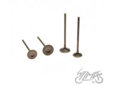 VALVE SET, IN.&EX. , ZONGSHEN DT190 ENGINE