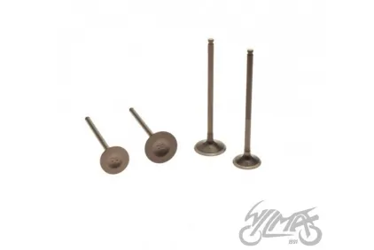 VALVE SET, IN.&EX. , ZONGSHEN DT190 ENGINE