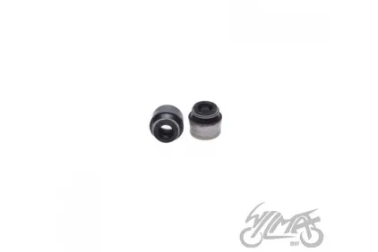 VALVE SEALS (2PCS/SET)