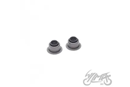 VALVE SEALS (2PCS/SET)