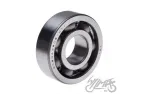 BEARING, CRANKSHAFT TM-SC03A39/P6CS20 4T FOR PIAGGIO ZIP50