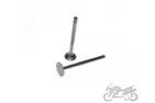 VALVE SET, IN.+EX. FOR PIAGGIO ZIP 4T