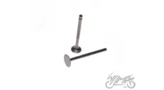VALVE SET, IN.+EX. FOR PIAGGIO ZIP 4T