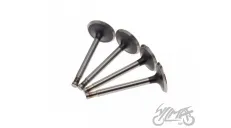 VALVE SET, IN.&EX. FOR DNIEPR