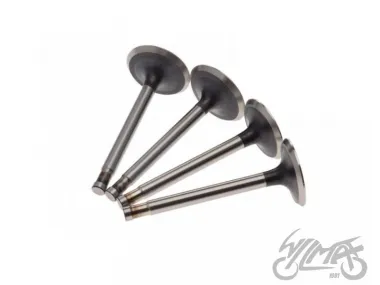 VALVE SET, IN.&EX. FOR DNIEPR