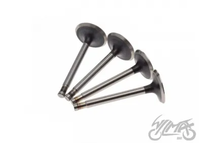 VALVE SET, IN.&EX. FOR DNIEPR