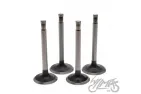 VALVE SET, IN.&EX. FOR DNIEPR