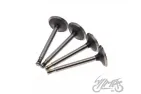 VALVE SET, IN.&EX. FOR URAL