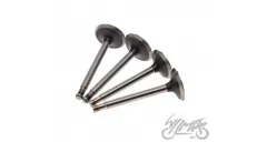 VALVE SET, IN.&EX. FOR URAL
