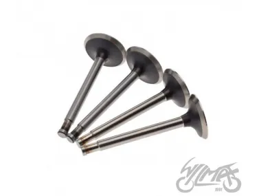 VALVE SET, IN.&EX. FOR URAL