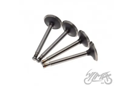 VALVE SET, IN.&EX. FOR URAL