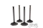 VALVE SET, IN.&EX. FOR URAL