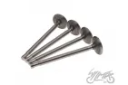 VALVE SET, IN.&EX. FOR K-750 9,15 MM