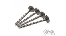 VALVE SET, IN.&EX. FOR K-750 9,15 MM