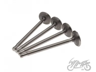 VALVE SET, IN.&EX. FOR K-750 9,15 MM
