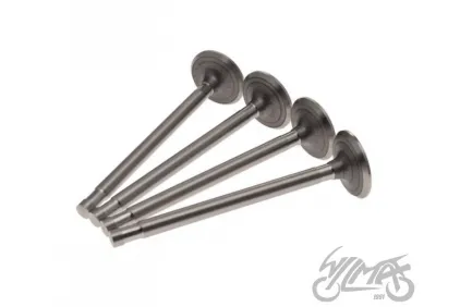VALVE SET, IN.&EX. FOR K-750 9,15 MM