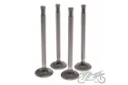 VALVE SET, IN.&EX. FOR K-750 9,15 MM