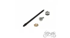 SANKABOS AŠIS DNEPR ILGA 190 mm SU ATBULINE EIGA