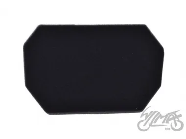 ORO FILTRAS 4T OGAR900