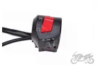 SWITCH ASSY, RIGHT ROMET ZETKA