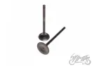 INTAKE AND EXHAUST VALVE SET FOR SUZUKI GN125
