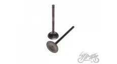 INTAKE AND EXHAUST VALVE SET FOR SUZUKI GN125