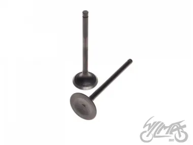 INTAKE AND EXHAUST VALVE SET FOR SUZUKI GN125