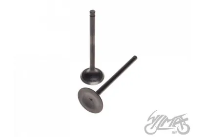 INTAKE AND EXHAUST VALVE SET FOR SUZUKI GN125