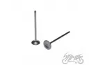 INTAKE AND EXHAUST VALVE SET FOR SUZUKI GN125 VER. B