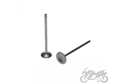 INTAKE AND EXHAUST VALVE SET FOR SUZUKI GN125 VER. B