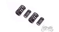 SPRING SET, VALVE FOR SUUKI GN 125 VAR. B
